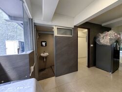 Dunearn Road (D11), Apartment #595796391